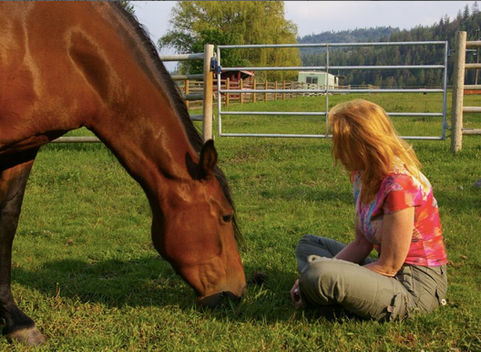 shannon Ford with Regina de Lazy T, a Mangalarga Marchador mare