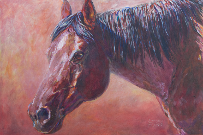 equine art, horse art, Arabian Horse Painting