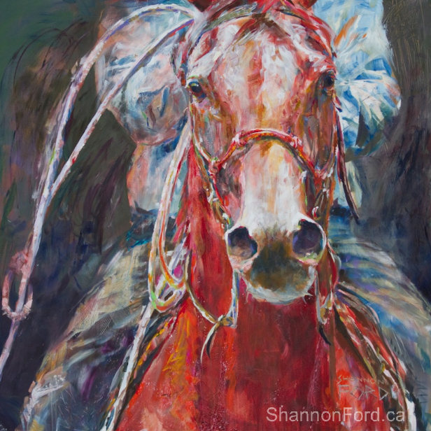 Roper 16, portrait of a young rope horse, equine art by shannon ford