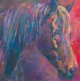 equine art by shannon ford, warren park stud stallion aul mystic topaz