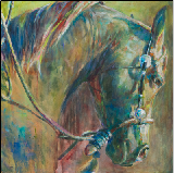 green broke colt, shannon ford equine artist