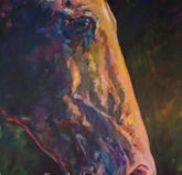 shannon ford equine artist
