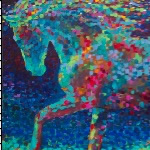 Equine Artist Shannon Ford