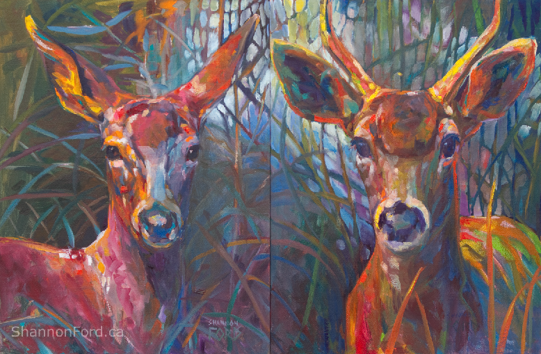 Black Tail Deer Doe and Buck Painting