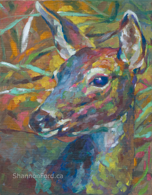 Doe Blacktail Deer, Oil Painting by Shannon Ford