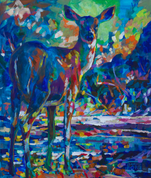 Blacktail Doe  painting, shannon ford