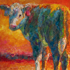 shannon ford artist - herford calf