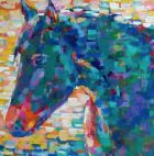 Arabian Horse Art