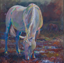 quiet times in the meadow